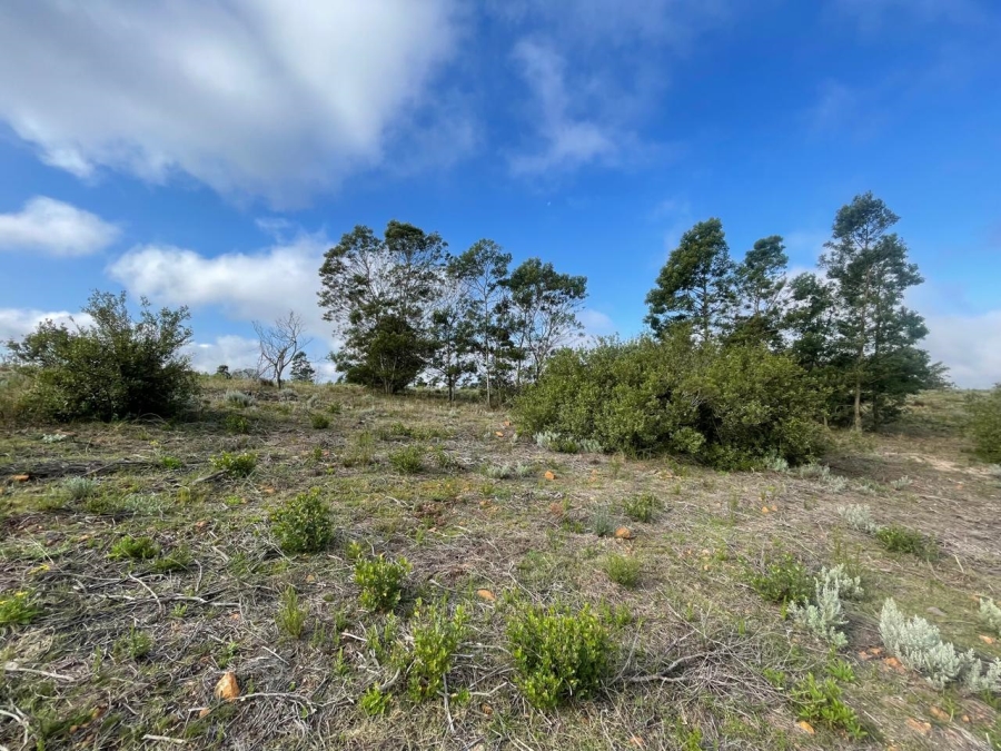0 Bedroom Property for Sale in Gondwana Game Reserve Western Cape